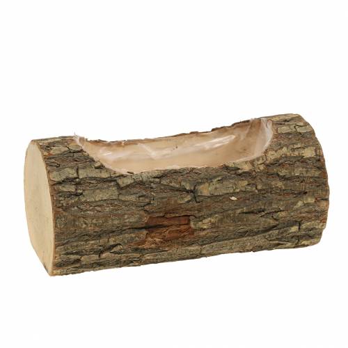 Pflanzgefäß Ulmenholz 20cm x 11cm H9cm Pflanzgefäß Ulmenholz 20cm x 11cm H9cm