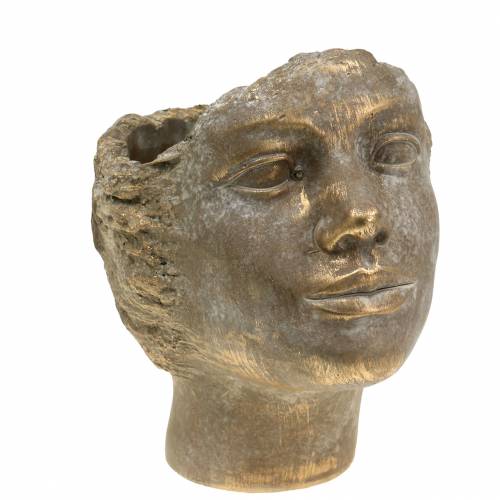 Floristik21 Pflanzkopf Pflanzbüste Gold H20cm