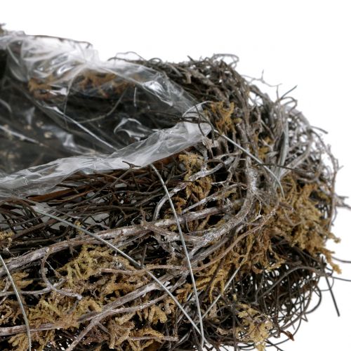 Floristik21 Pflanzherz aus Reben und Moos Natur 20cm x 14cm