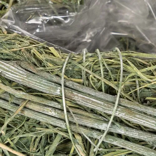 Deko Herz aus Naturgras mit Folie-Einsatz 14cm, Grün, 2er-Set, Trauerfloristik | Floristik21.de