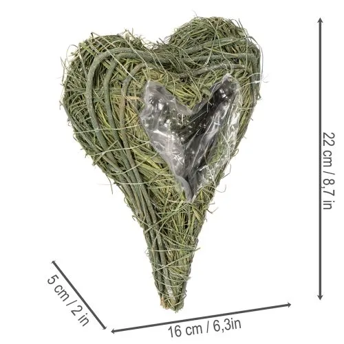 Pflanzherz Naturmaterial mit Folieneinsatz 22cm Grün 2 Stück | Floristik21.de
