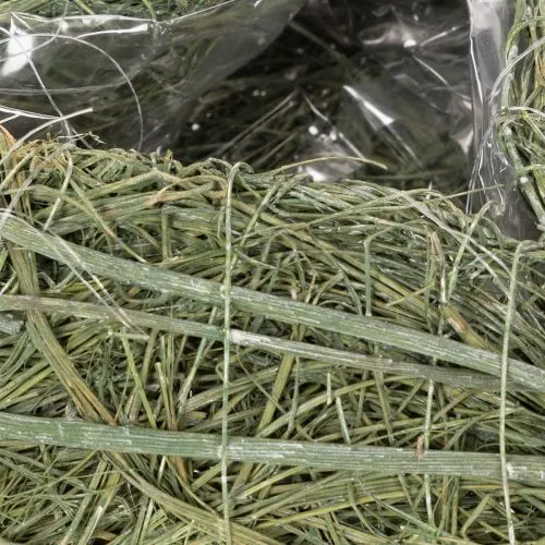 Pflanzherz aus natürlicher Rebe mit Folie 25cm für Floristik | Floristik21.de