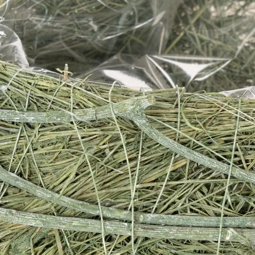 Herzschale Pflanzgefäß Naturgras mit Folie 38cm Grün | Floristik21.de