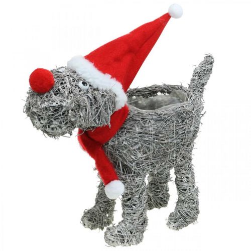 Artikel Hund zum Bepflanzen, Weihnachtsdeko, Pflanzkorb, Advent H30cm L29,5cm