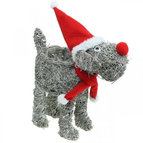 Artikel Hund zum Bepflanzen, Weihnachtsdeko, Pflanzkorb, Advent H30cm L29,5cm
