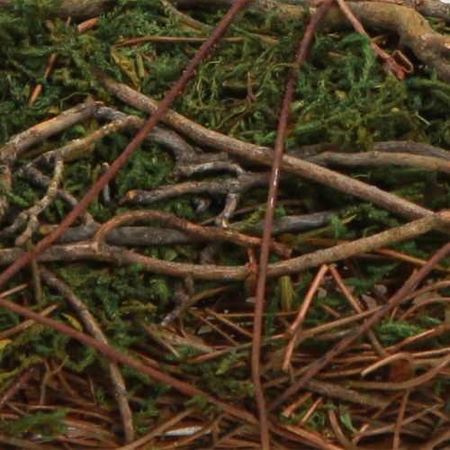 Floristik21 Pflanzkissen Reben Moos Schale Naturdeko 20x20x6,5 cm