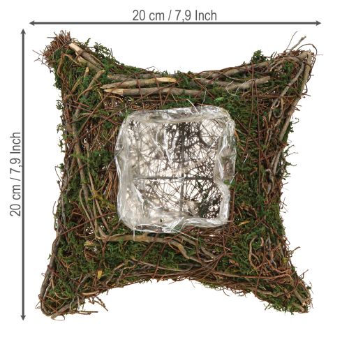 Pflanzkissen Reben Moos Schale Naturdeko 20x20x6,5 cm | Floristik21.de