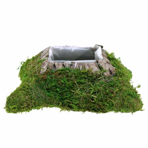 Pflanzkissen Moos, Rinde 20cm × 20cm