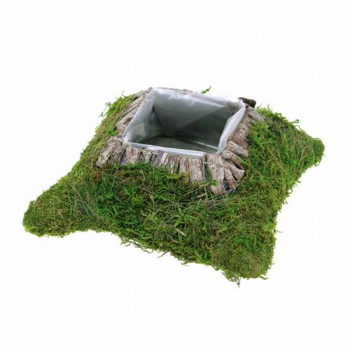 Pflanzkissen Moos, Rinde 20cm × 20cm Pflanzkissen Moos, Rinde 20cm × 20cm