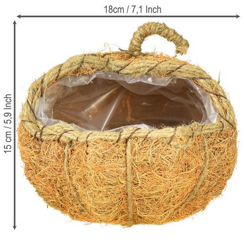 Artikel Pflanzkorb Kürbis mit Folie Herbstdeko Orange Ø18cm H15cm, perfekte Herbst-Dekoration