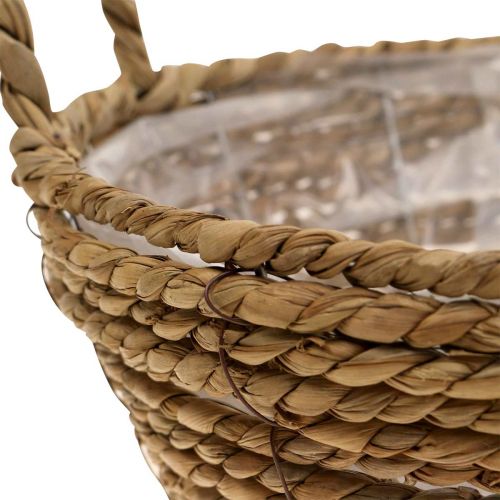 Floristik21 Pflanzkorb rund Seegras Korb mit Henkeln Dekokorb Ø25cm H9cm