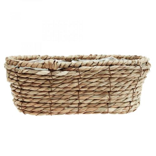 Floristik21 Pflanzkorb Seegras Korb oval Dekokorb 28×15×10cm
