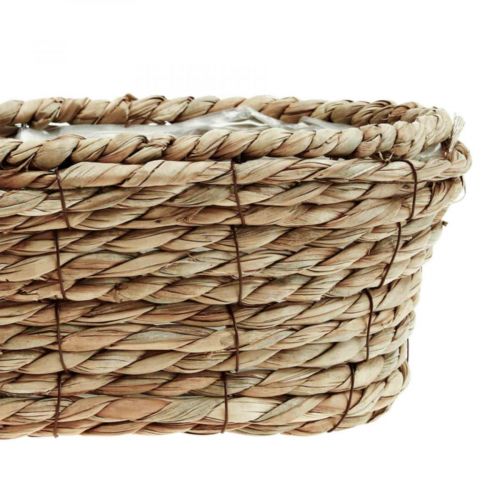 Floristik21 Pflanzkorb Seegras Korb oval Dekokorb 28×15×10cm