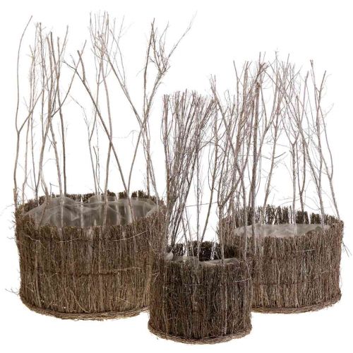 Pflanzkorb Korb aus Zweigen Weiß gewaschen Ø15-25cm 3er-Set