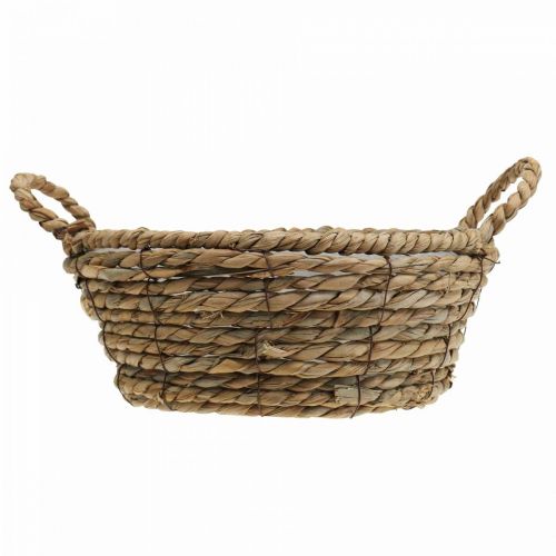 Floristik21 Pflanzkorb rund Seegras Korb mit Henkeln Dekokorb Ø25cm H9cm