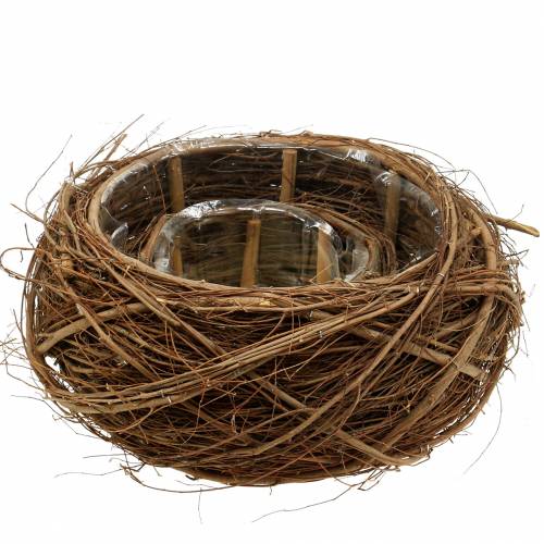 Pflanzkorb Rebe und Zweige Natur Ø37/28cm 2-er Set