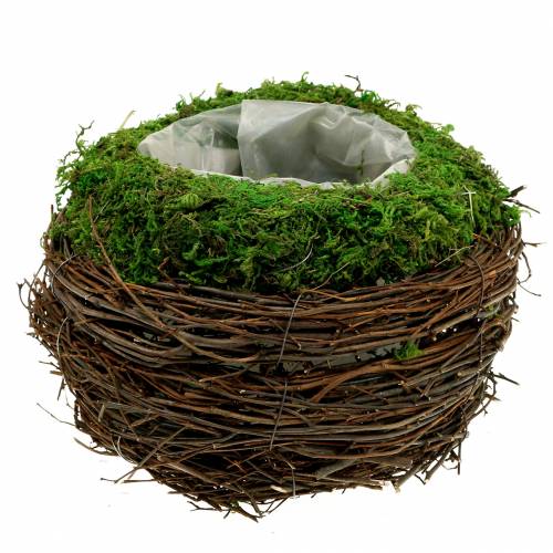 Floristik21 Pflanzschale Rattan, Moos Ø19cm H13cm