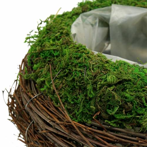 Floristik21 Pflanzschale Rattan, Moos Ø19cm H13cm