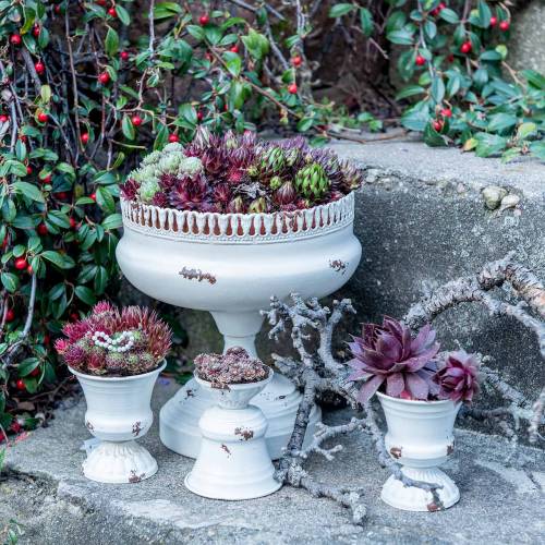 Pflanzpokal Kelch Antik Creme Ø7,5cm H9cm 1St