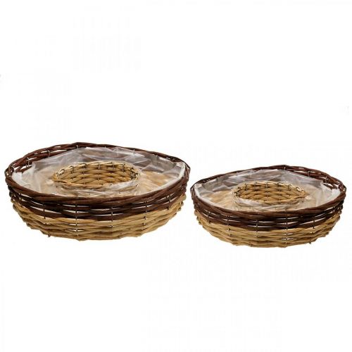 Floristik21 Pflanzring aus Weide, Pflanzschale Ø35/30cm 2er-Set