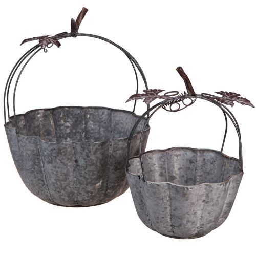 Floristik21 Zink-Pflanzschale im Kürbis-Design Set, 2er-Pack Ø21/30cm, Herbstdeko Vintage
