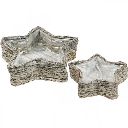 Pflanzschale Stern, Pflanzgefäß Seegras Ø32/23,5cm 2er-Set