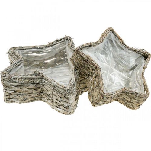 Pflanzschale Stern, Pflanzgefäß Seegras Ø32/23,5cm 2er-Set