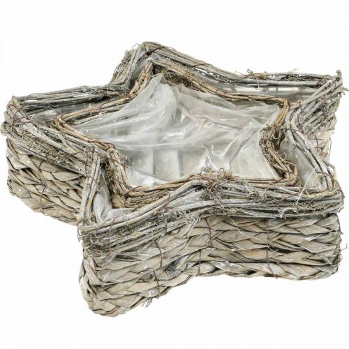 Artikel Pflanzschale Stern, Pflanzgefäß Seegras Ø32/23,5cm 2er-Set
