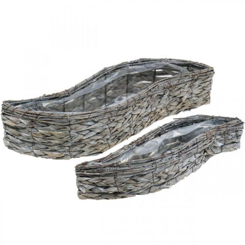 Pflanzschale, Pflanzkasten Grau 48,5/31,5cm 2er-Set