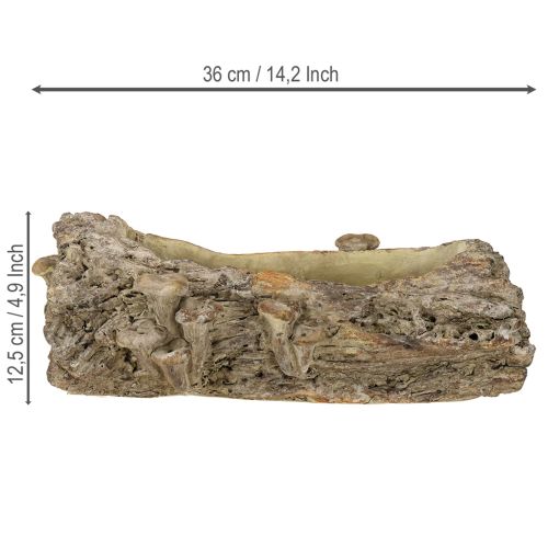 Artikel Pflanzschale Steinguss Baumstamm-Design mit Pilzen 36x18x12,5cm Deko