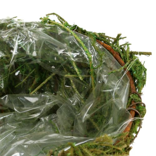 Floristik21 Pflanzschale mit Moos Ø16cm H9cm - 10cm Grün 3St