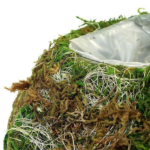 Pflanzschale Moosschale Ø18cm 2St