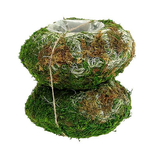 Pflanzschale Moosschale Ø18cm 2St