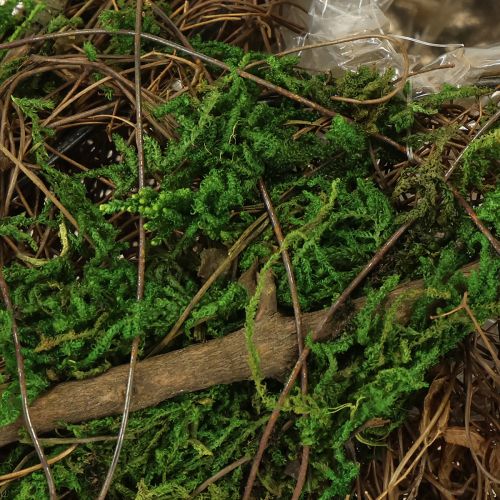 Floristik21 Pflanzschiffchen Reben Moos Schale für Floristik Dekoration