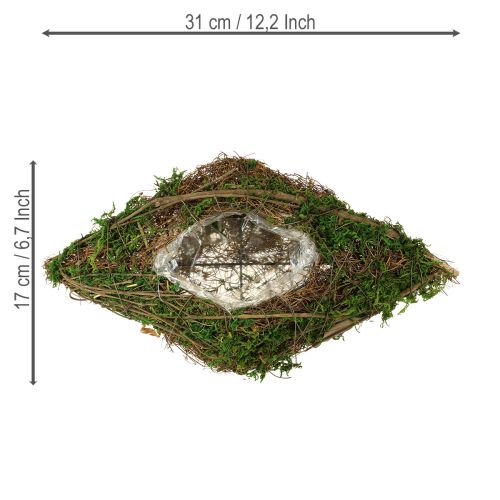 Floristik21 Pflanzschiffchen Reben Moos Schale für Floristik Dekoration