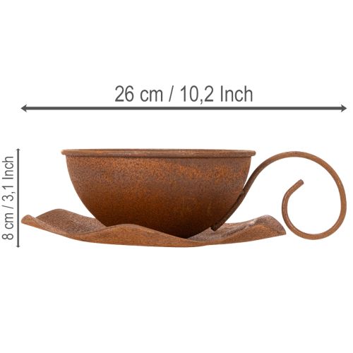Pflanztasse mit Untertasse Pflanztopf Rost Ø19,5cm H8cm | Floristik21.de