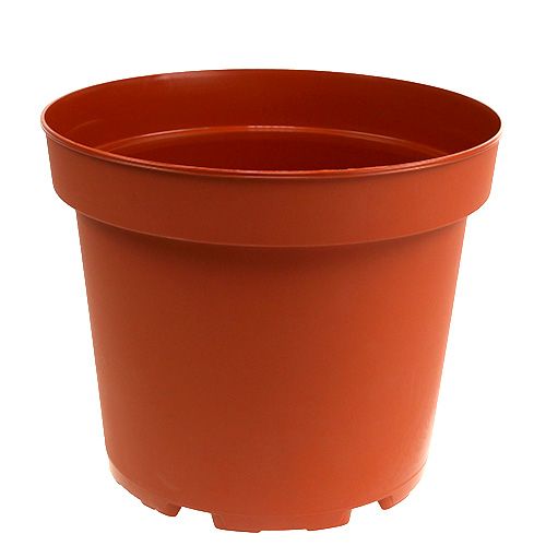 Floristik21 Pflanztopf Plastik Ø23cm 10St – Optimal für Floristen, widerstandsfähig, ideal zur Dekoration