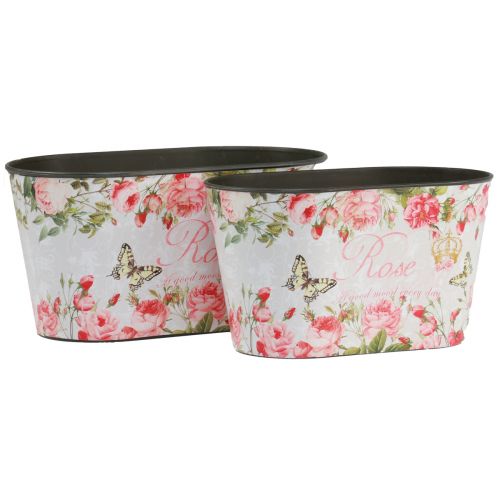 Floristik21 Pflanztopf Rosen, Dekogefäß, Blumenwanne 21,5cm / 18,5cm 2er-Set