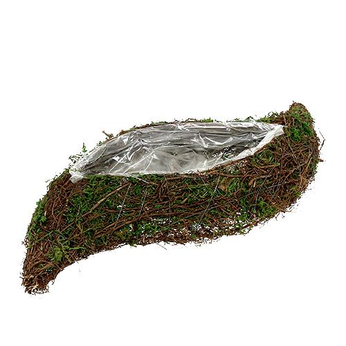 Floristik21 Pflanzwelle Rebe, Moos 45cm x 18cm H7cm