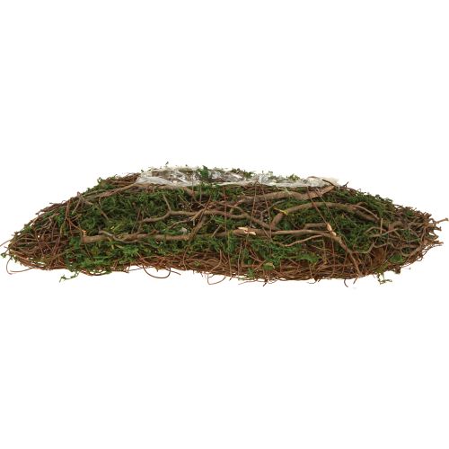 Floristik21 Pflanzschale Reben mit Moos 31x15x7cm für natürliche Deko Zimmer Grab Floristik