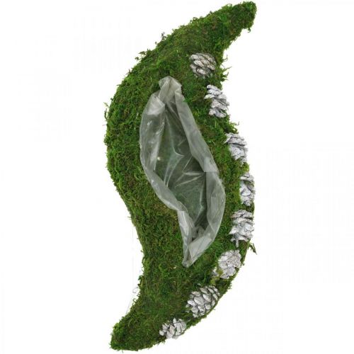 Floristik21 Pflanzgefäß Moos und Zapfen Welle Grün, Weiß gewaschen 41×15cm