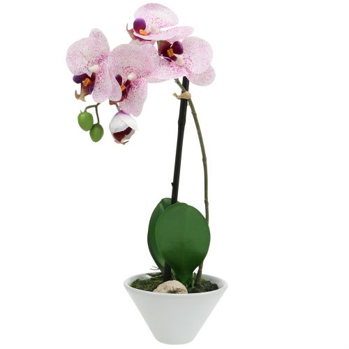 Orchidee Kunstpflanze Phalaenopsis creme 50cm in schwarzer Schale