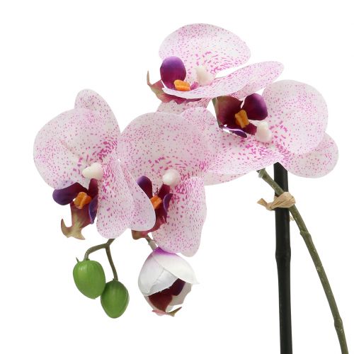 Floristik21 Künstliche Phalaenopsis Lila-Weiß in Schale H38cm