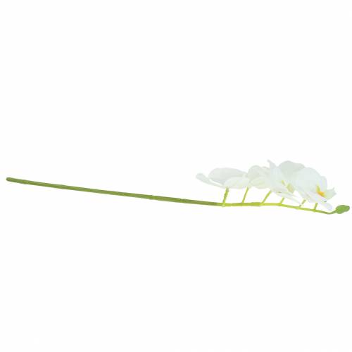 Floristik21 Künstlicher Orchideenzweig Phaelaenopsis Weiß H49cm