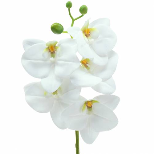 Floristik21 Künstlicher Orchideenzweig Phaelaenopsis Weiß H49cm