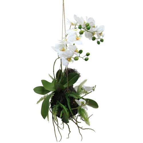 Floristik21 Orchidee mit Farn und Moosballen künstlich Weiß Hängend 64cm