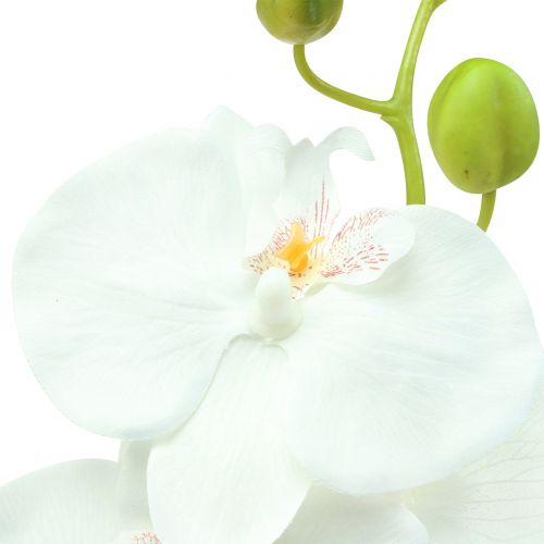 Artikel Orchidee Phalaenopsis künstlich Weiß 80cm