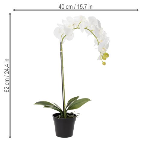 Artikel Elegante Kunstpflanze Orchidee Weiß im Topf 62cm – Realistische Dekoration für Büro und Wohnzimmer