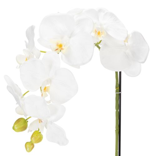 Artikel Elegante Kunstpflanze Orchidee Weiß im Topf 62cm – Realistische Dekoration für Büro und Wohnzimmer