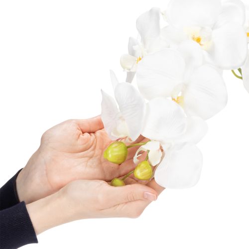 Artikel Elegante Kunstpflanze Orchidee Weiß im Topf 62cm – Realistische Dekoration für Büro und Wohnzimmer